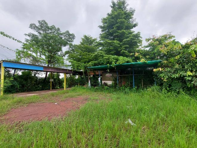 เมืองหมี เมืองหนองคาย หนองคาย