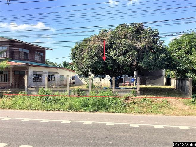พานพร้าว ศรีเชียงใหม่ หนองคาย