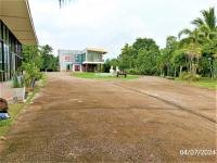 ขายบ้านเดี่ยว โพนสว่าง เมืองหนองคาย หนองคาย ขนาด 4-2-52.00 ของ ธนาคารกสิกรไทย